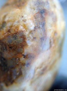 One Tiny Pebble  (15x macro)