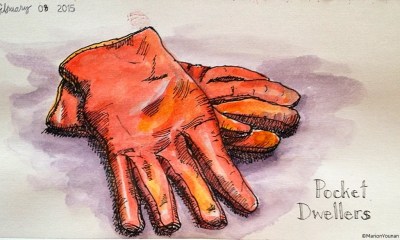 February 8 - Pocket Dwellers