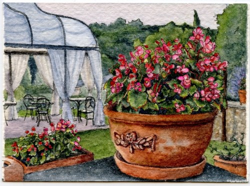 #35 - Begonias at Dusk