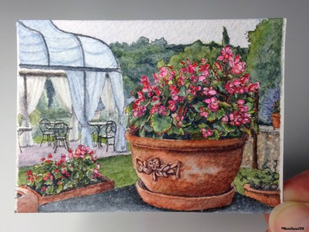 35 Begonias at Dusk studio 