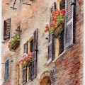 Tuscan Windows