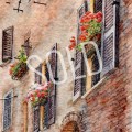 40-tuscan-windows-sold