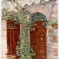 #65 Pienza Doors