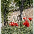 78 Poppies of Castello di Carpineti&nbsp;Sold