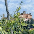 Barolo Vineyard –&nbsp;sold