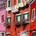 Burano Laundry with Flowers –&nbsp;sold