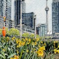 Springtime in Toronto