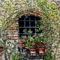 A Window Garden in&nbsp;Chianti
