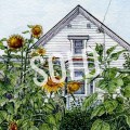 Under the Stratford Sun&nbsp;SOLD