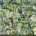 Assisi Olive Tree print with&nbsp;title