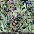 Assisi Olives print with&nbsp;title