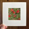 Poppies of the Luberon print in&nbsp;mat
