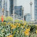 Springtime in Toronto