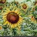 Summer in Italy&nbsp;title